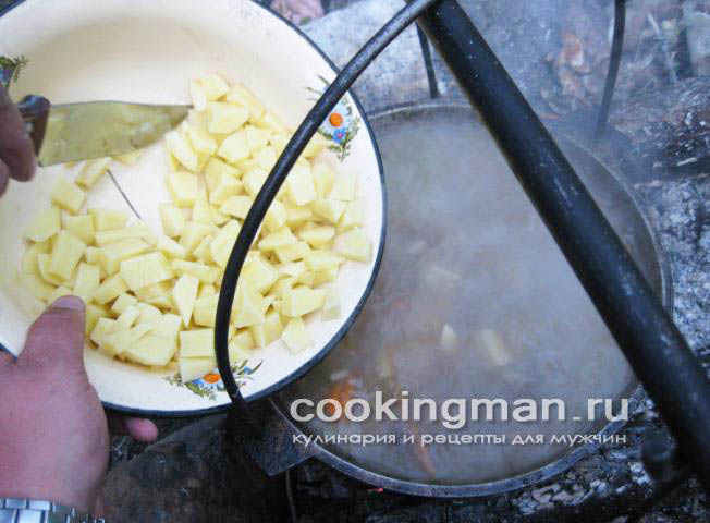 Щи из дикой утки щи из утки