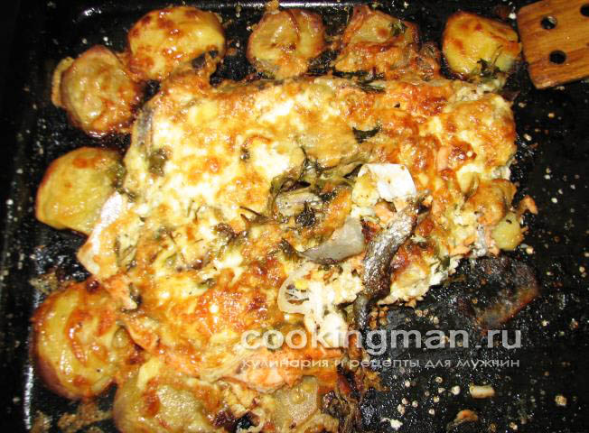 Запеченная форель с картошкой и сыром запеченная форель