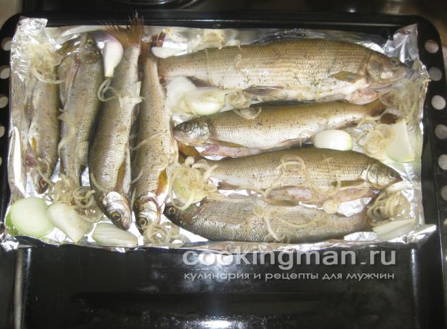 Хариус запеченный в духовке приготовить хариуса