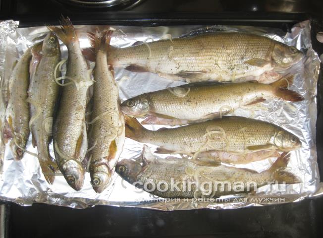 Хариус запеченный в духовке рецепт хариуса