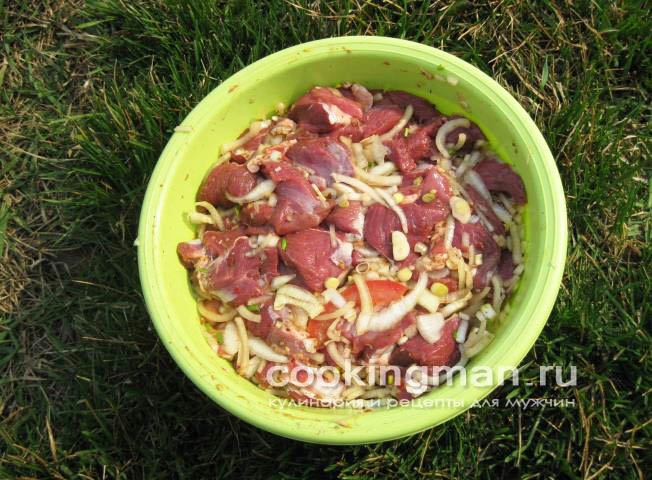 Шашлык из баранины замаринованный в луке, чесноке и помидорах шашлык из баранины