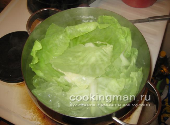 Голубцы с мясом телятины голубцы с мясом