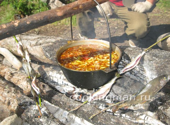 Борщ с грибами рецепт борща с грибами
