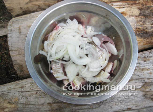 Слабосоленый хариус рецепт засолки хариуса