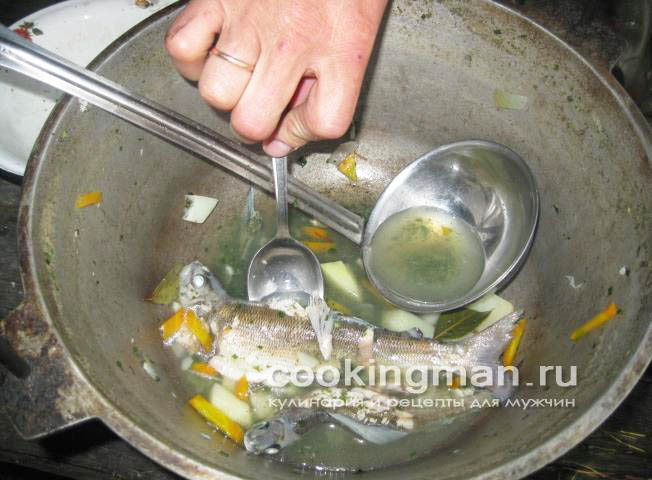 Рыбный суп из хариуса рецепт рыбного супа
