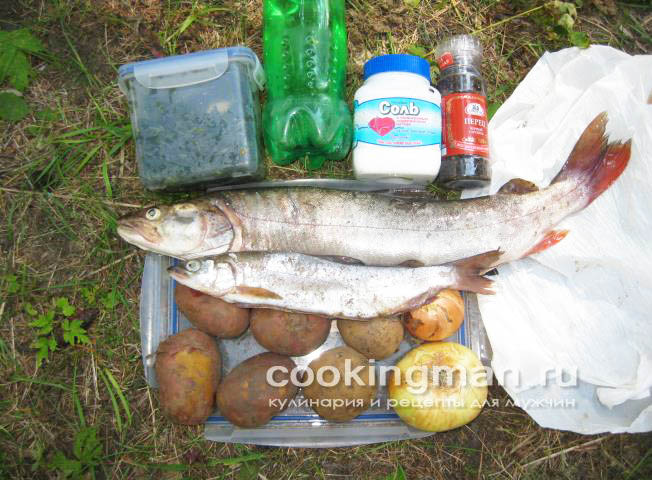 Таймень запеченный блюда из тайменя