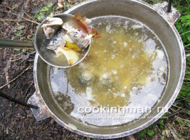 Уха из хариуса рецепт ухи