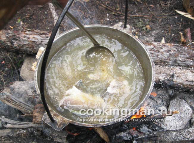 Уха из хариуса рецепт ухи