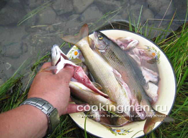 Уха из хариуса рецепт ухи