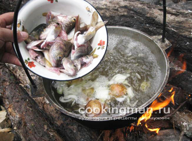 Уха из хариуса рецепт ухи