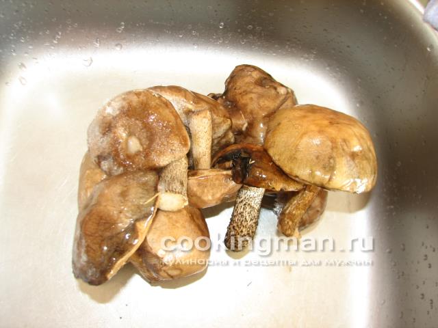 Суп с грибами суп с грибами