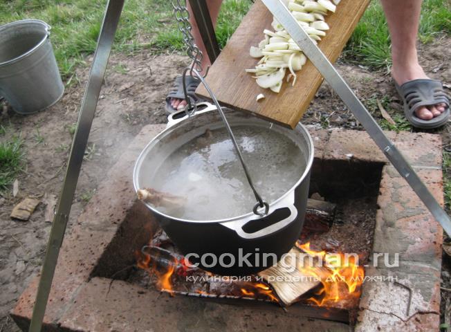 Шурпа из баранины и телятины шурпа из баранины
