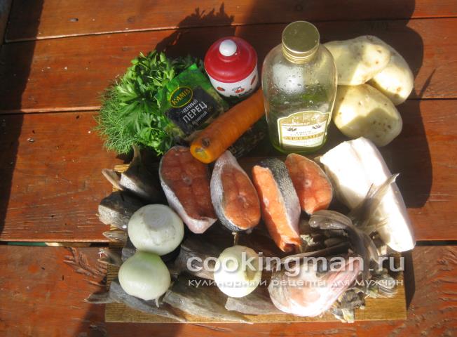 Уха из стерлядки, семги и масляной рыбы рецепт ухи
