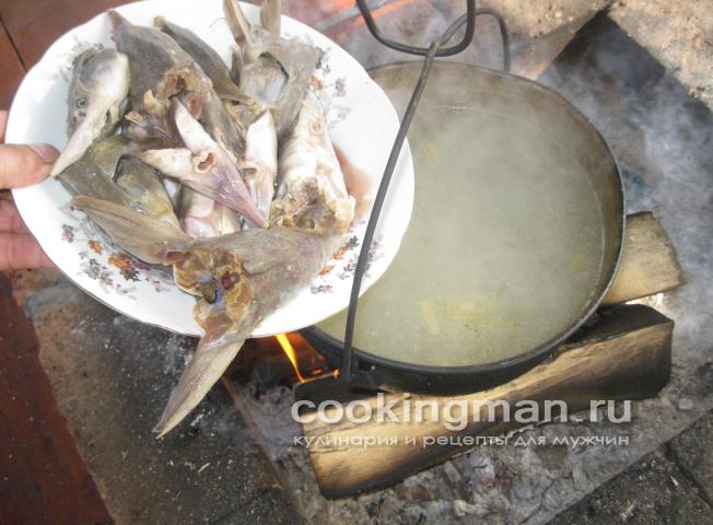Уха из стерлядки, семги и масляной рыбы уха из стерляди на костре
