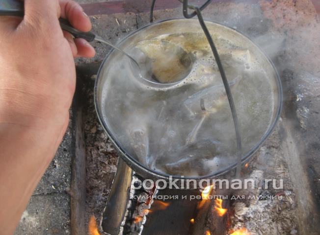 Уха из стерлядки, семги и масляной рыбы рецепт ухи