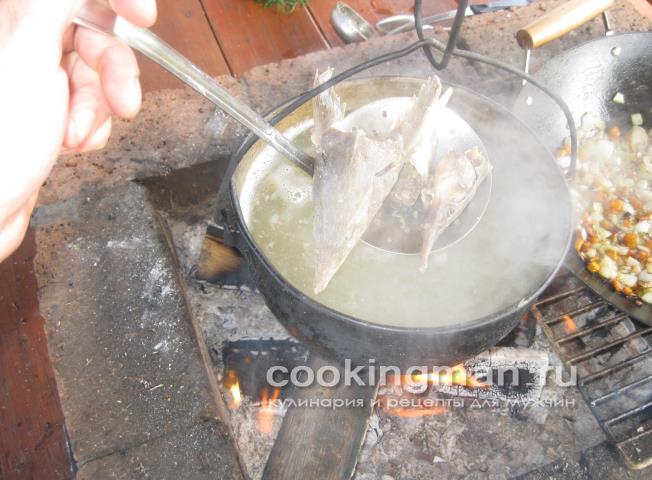Уха из стерлядки, семги и масляной рыбы уха из стерляди