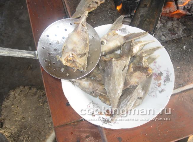 Уха из стерлядки, семги и масляной рыбы рецепт ухи