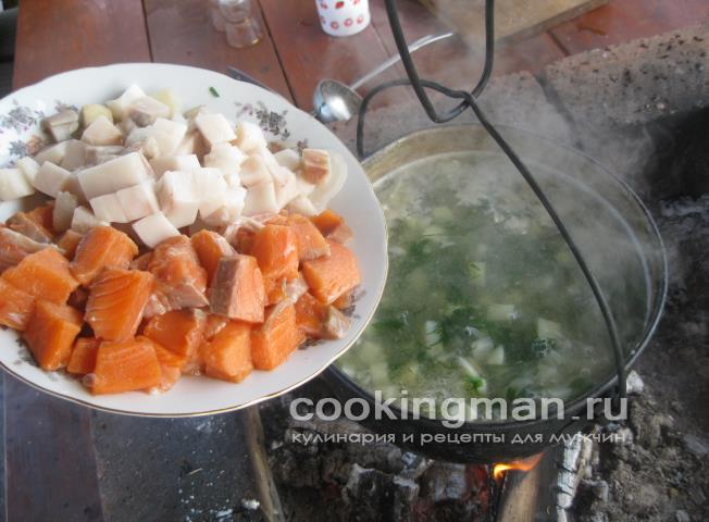 Уха из стерлядки, семги и масляной рыбы уха на костре