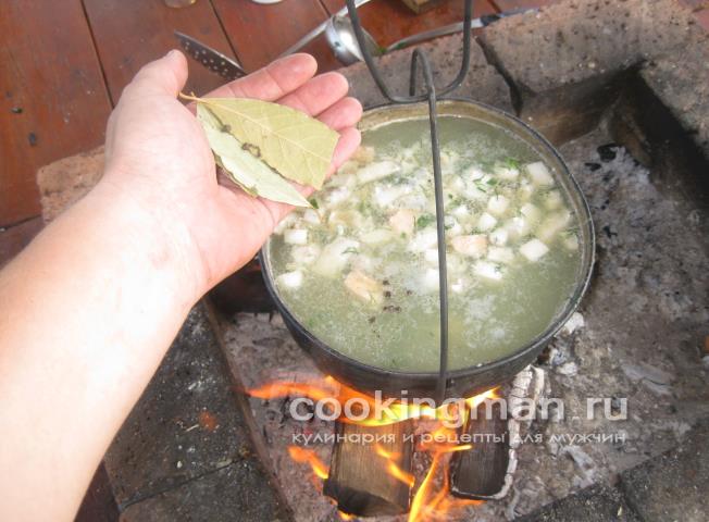 Уха из стерлядки, семги и масляной рыбы рецепт ухи на костре