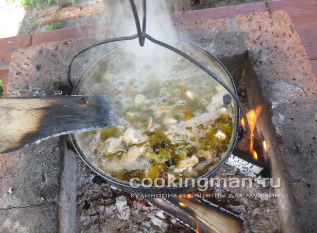 Уха из стерлядки, семги и масляной рыбы уха из стерляди