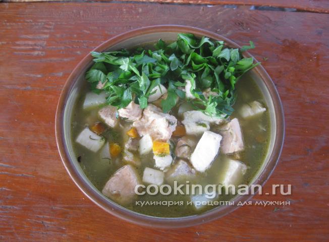 Уха из стерлядки, семги и масляной рыбы как приготовить уху