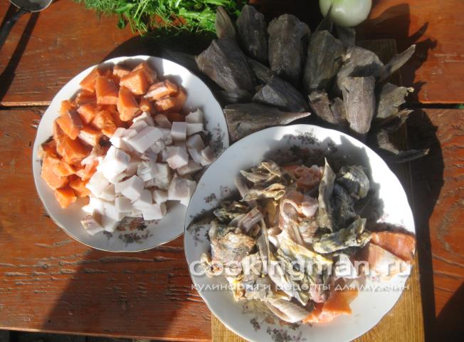 Уха из стерлядки, семги и масляной рыбы рецепт приготовления ухи